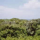  Half Moon Caye, Belize